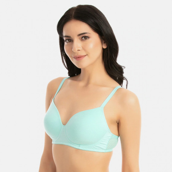 http://15.207.65.201/products/blue-solid-non-wired-lightly-padded-t-shirt-bra